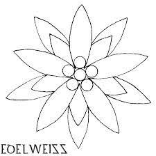 Edelweiss Google Search Idees De Tatouages Tatoo Tatouage