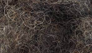 Is a family owned business, which employs more than fifty people to provide you. Other Diy Materials Coir Coconut Fibre Upholstery Stuffing Filling Traditional Upholstery Supplies Home Furniture Diy Coccinelli De