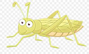 Cricket bug cartoon illustrations & vectors. Grasshopper Locust Clip Art Insect Illustration Png 1600x977px Grasshopper Arthropod Bug Cartoon Cricket Download Free