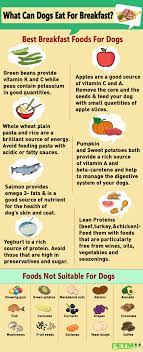 Well, that depends on what it is and what's in it. What Can Dogs Eat For Breakfast Best Non Ideal Foods Petmoo