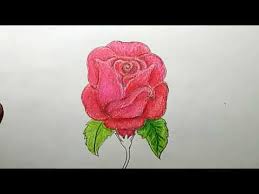 Just watch the video and act like that. Drawing Tutorial For Kids How To Draw A Rose For Beginners Step By Step You