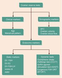 Image result for GnRH Stimulation Test
