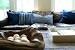 What Colour Cushions Go With Brown Leather Sofa