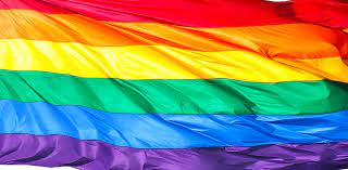 Een regenboogvlag is een veelkleurige vlag bestaande uit strepen met de kleuren van de regenboog, maar dan meestal niet in elkaar overvloeiend, maar met zes of zeven egale stroken.regenboogvlaggen werden en worden door de eeuwen heen gebruikt door zeer uiteenlopende groepen en gebieden verspreid over de hele wereld. Gemeenten Hijsen Regenboogvlag Op Coming Outdag Movisie