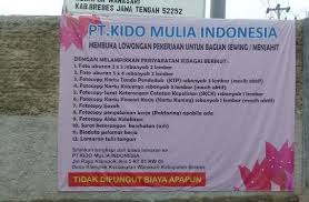 Toko modrn alfamidi yang berlokasi desa klampok brebes belum mendapat rekom perijinan dari dinas koperasi umkm dan. Lowongan Kerja Pt Kido Mulia Indonesia Brebes 2020 Loker Pemalang