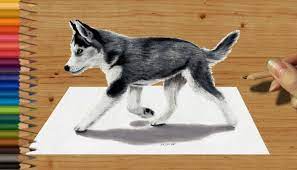 Check spelling or type a new query. 3d Pencil Drawing Siberian Husky Puppy Speed Draw Jasmina Susak
