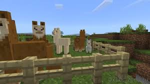 Kommt dieses jahr noch etwas, oder ich wirklich bis mai 2019 warten? Minecraft Version Herunterladen 0 18 1