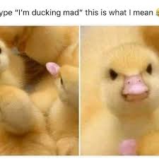 Terry Mallory (@terry.mallory.3133) • Instagram photos and videos