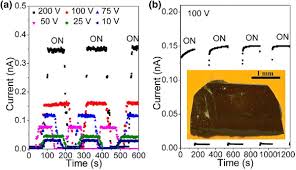 In this section, bias supplies for detectors are described. Room Temperature Hard Radiation Detectors Based On Solid State Compound Semiconductors An Overview Springerlink