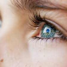 Da das gehirn aber die bilder beider augen übereinander legt, und sich so sehende und nichtsehende bereiche überlagern, fällt diese stelle im. Behandlung Trockene Tranende Augen Sicca Syndrom Augenarzt Bremen Walle