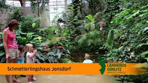Jede minute, die man lacht, verlängert das leben um eine stunde. Schmetterlingshaus Jonsdorf Im Landkreis Gorlitz Youtube