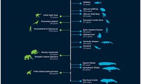 According to a new study published in nature— led by john einmahl of tilburg university and laurens de haan of the erasmus university rotterdam—the human age ceiling is approximately 114.1 years for men and 115.7 years for women. Humans Are Genetically Hardwired To Only Live For 38 Years Daily Mail Online
