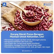 Kacang merah merupakan salah satu jenis kacang kacangan yang memiliki banyak manfaat. Alodokter Siapa Bumil Di Sini Yang Suka Makan Kacang Merah Kacang Merah Yang Kerap Dijadikan Sebagai Campuran Beberapa Menu Masakan Seperti Sup Dan Rendang Serta Minuman Ringan Seperti Es Kacang