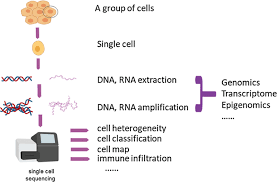 Check spelling or type a new query. The Single Cell Sequencing New Developments And Medical Applications Cell Bioscience Full Text