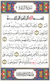 Maybe you would like to learn more about one of these? ØªÙØ³ÙŠØ± Ù‚Ø±Ø§Ø¡Ø© Ø³ÙˆØ±Ø© Ø§Ù„Ø¨Ù‚Ø±Ø© ÙÙŠ Ø§Ù„Ù…Ù†Ø§Ù… Ù…Ø¬Ù„Ø© Ø§Ù„Ù…ØªÙƒØªÙƒ