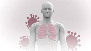 When any foreign particle enters the respiratory system then it irritates the respiratory epithelium and sends a signal to the brain through. What Coronavirus Does To The Body Covid Infection Process Symptoms