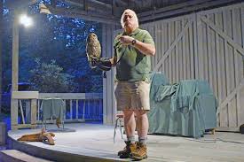 Blue Ghost Fireflies make annual appearance