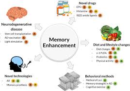 The google search feature is easy to try out. Delaying Memory Decline Different Options And Emerging Solutions Translational Psychiatry