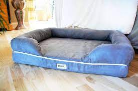 The friends forever orthopedic dog bed is a lounge sofa with a removable cover. Friends Forever Orthopedic Dog Bed Review Dog Tested Dog Approved