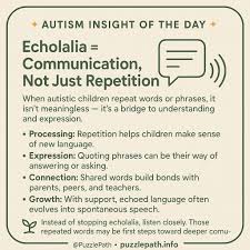 Image result for Echophenomena