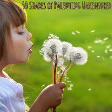 50 Shades of Parenting