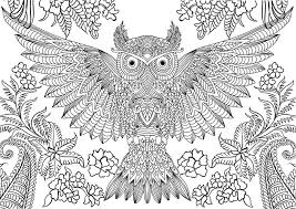 The coloring page&#39;s adorable design along with the owl&#39;s huge eyes will entice you to print it out and work on it immediately. Owl Coloring Pages For Adults Free Detailed Owl Coloring Pages
