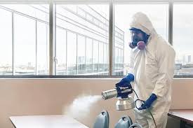 disinfectant fogging sanitizer liquid ile ilgili görsel sonucu