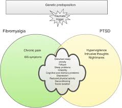 Ptsd And Fibromyalgia Syndrome Focus On Prevalence