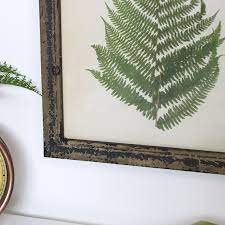 We did not find results for: Rustic Fern Framed Print