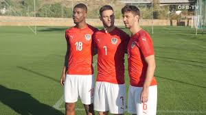 Es sorgt für gemeinschaftsgefühl und ist ein symbol ist das trikot nicht vom offizielle ausstatter der nationalmannschaft (puma), kann es kein echtes. Ofb Team Prasentiert Neue Trikots Sky Sport Austria