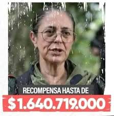 De profesora a figura clave del ELN: la historia de Luz Amanda Pallares.  Luz Amanda Pallares Pallares, conocida en la insurgencia como alias Silvana  Guerrero, nació en Teorama, Norte de Santander. Con