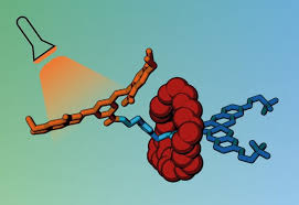 The map legend often also has a scale to help the map reader gauge dista. Cancer Drugs Could Be Delivered In Molecular Cages Unlocked By Light Imperial News Imperial College London