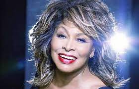 Tina Turner Tickets - Tina Turner Concert Tickets and Tour Dates - StubHub