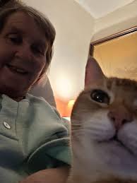 Hi everyone. Halfway through another weekend . Hopefully will be fine  tomorrow and I'll may e go for a little walk up the garden with Chelsea.  I'll see how overgrown it's become.