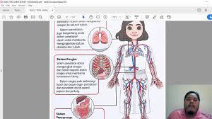 We did not find results for: Pdpr Sains Tahun 5 Raya 22 2 2021 Perkaitan Antara Sistem Di Dalam Tubuh Manusia Youtube