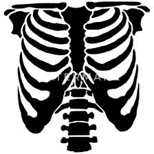 The cause of pain under the right rib cage can be the same as pain on the left. Rib Cage Men S Premium T Shirt Spreadshirt