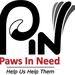 Need A New Kitty Companion Adobe Pet Hospital In Livermore Ca Is Looking For A Home For This Kitty Scooter Is Healthy Friendl Animal Hospital Dog Cat Kitty