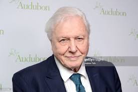 Portraits — Andrew Toth Photography