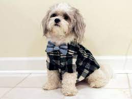 Items Similar To Foggy London Cashmere Dog Coat Med On Etsy Dog Dresses Pet Clothes Dog Coats