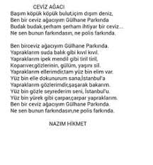 vildan nehir adli kullanicinin siir panosundaki pin guzel soz yazar sozleri edebiyat
