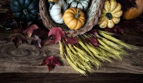 Wann wir das traditionelle erntedankfest feiern und was es mit dem brauchtum auf sich hat, erfahren sie hier. Erntedank Wie Wo Und Warum Gefeiert Wird