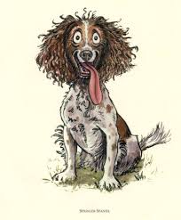 Black And White Springer Spaniel Clipart Country Humour Dog Cartoon Springer Spaniel Spaniel Art Springer Spaniel Puppies Cartoon Dog