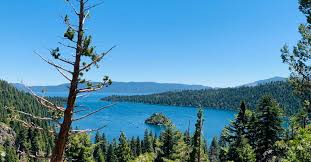 The best pet friendly rentals in south lake tahoe are: 800 Vacation Rentals In South Lake Tahoe Cabins More Hometogo
