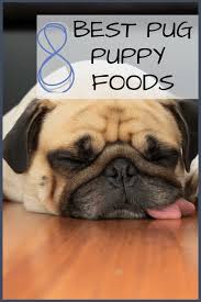 View the top 10 best puppy food brands selected by the editors of the dog food advisor. 8 Best Pug Puppy Foods With Our 2021 Pug Feeding Guide