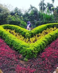 Keindahan taman sakura wisata ala jepang yutaka farm indonesia. 7 Tempat Wisata Medan Yang Ngehits Dan Instagramworthy