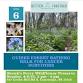 Guided Forest Bathing- Walk for Cancer Surviors — event image