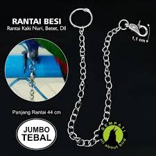 Dan berbagai konversi satuan panjang lainnya. Jual Produk Rantai Kaki Burung Nuri Termurah Dan Terlengkap Juli 2021 Bukalapak