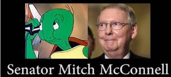 Image result for cecil turtle
