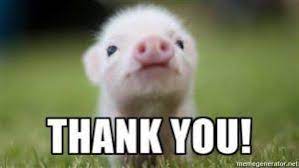 Saying thanks a lot in response to something bad is a good joke with a touch of sarcasm. 100 Thank You Memes Images And Funny Thanks Meme Pics Thank You Images Funny Thank You Memes Funny Thank You