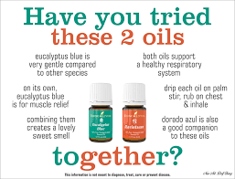 As an amazon associate we can earn a small commission from qualifying purchases. Pin On Essential Oils Young Living